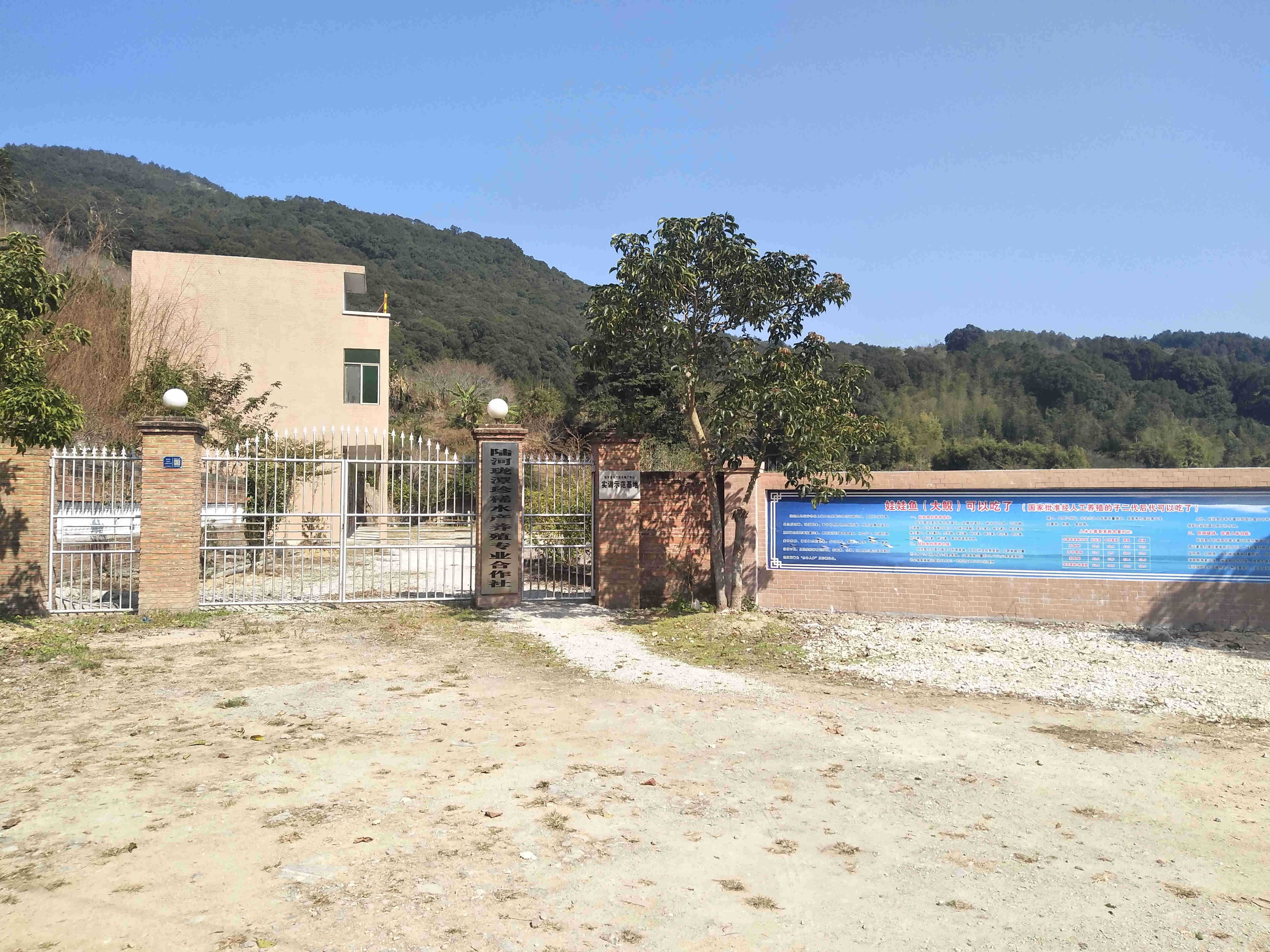 公司简介